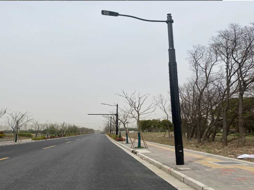 台湾省上海综合杆 太阳能路灯工程